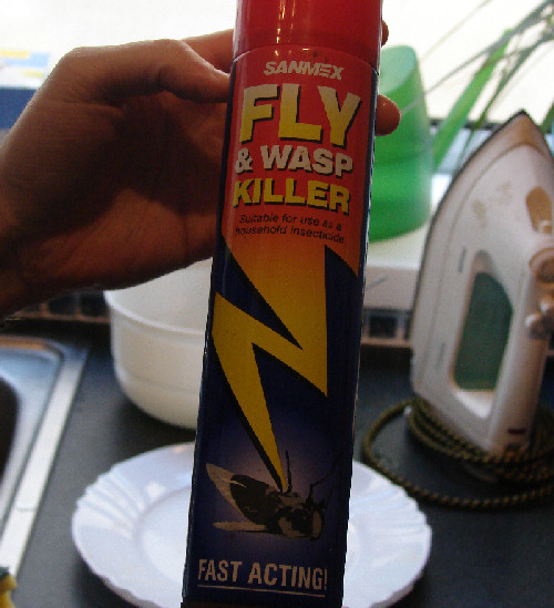 Fly & Wasp Killer
