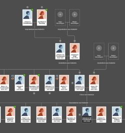 Vier Generationen im Stammbaum